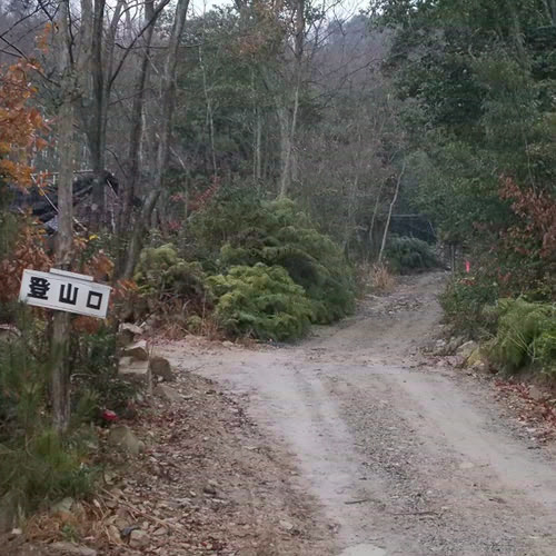 ハイキング・登山